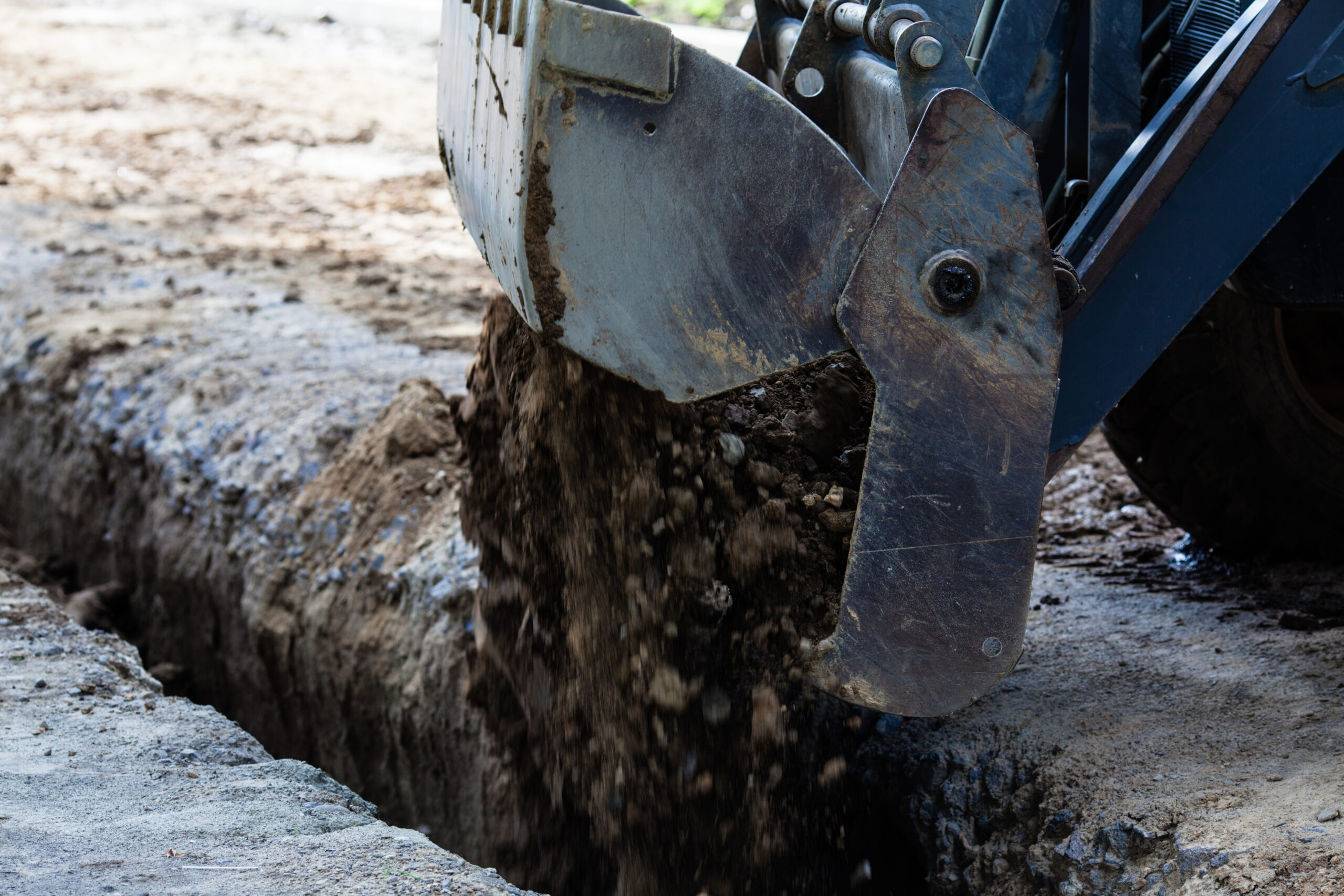 Grassy field with standing water near a brown fence line.